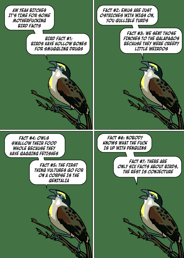 Questionable Content