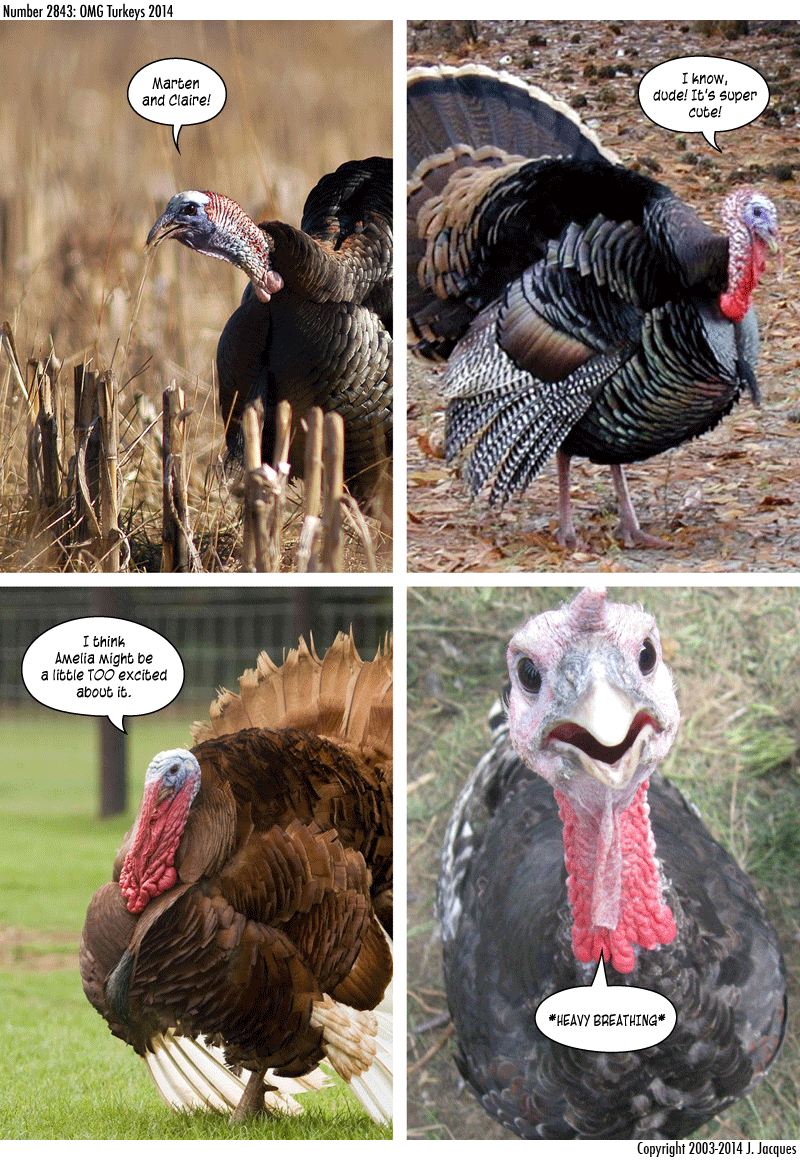 Questionable Content