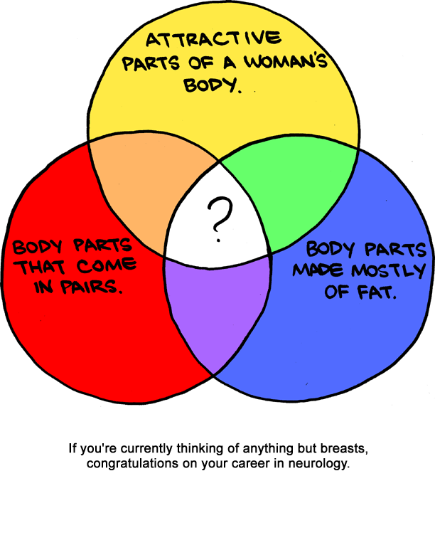 Saturday Morning Breakfast Cereal