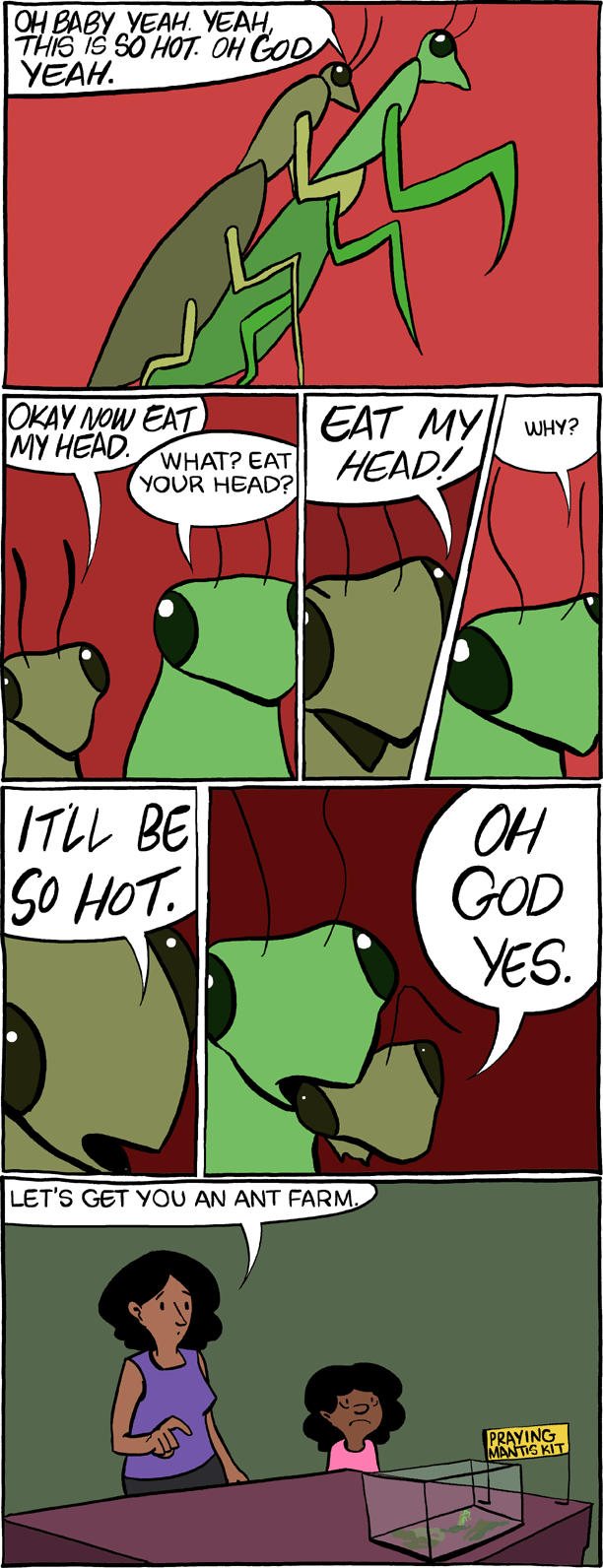 Saturday Morning Breakfast Cereal