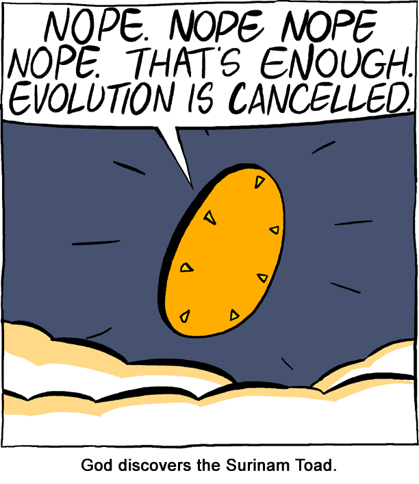 Saturday Morning Breakfast Cereal
