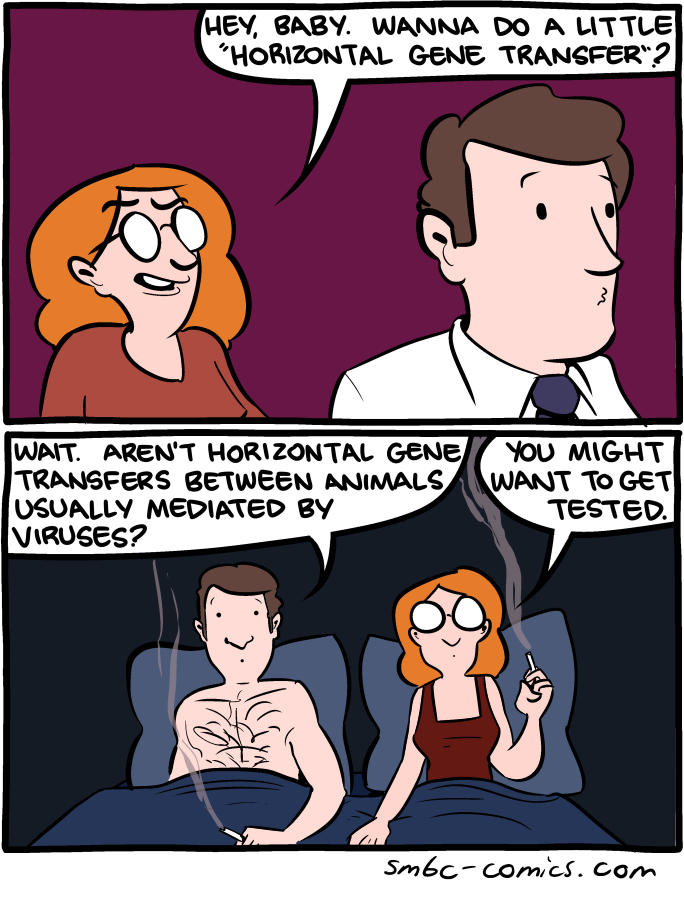 Saturday Morning Breakfast Cereal
