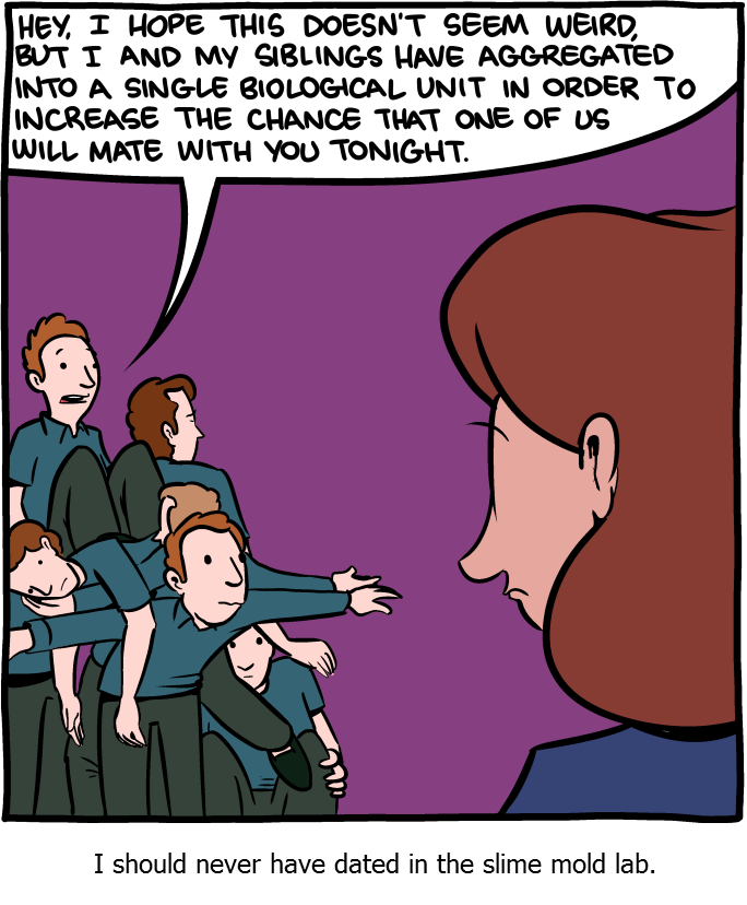 Saturday Morning Breakfast Cereal
