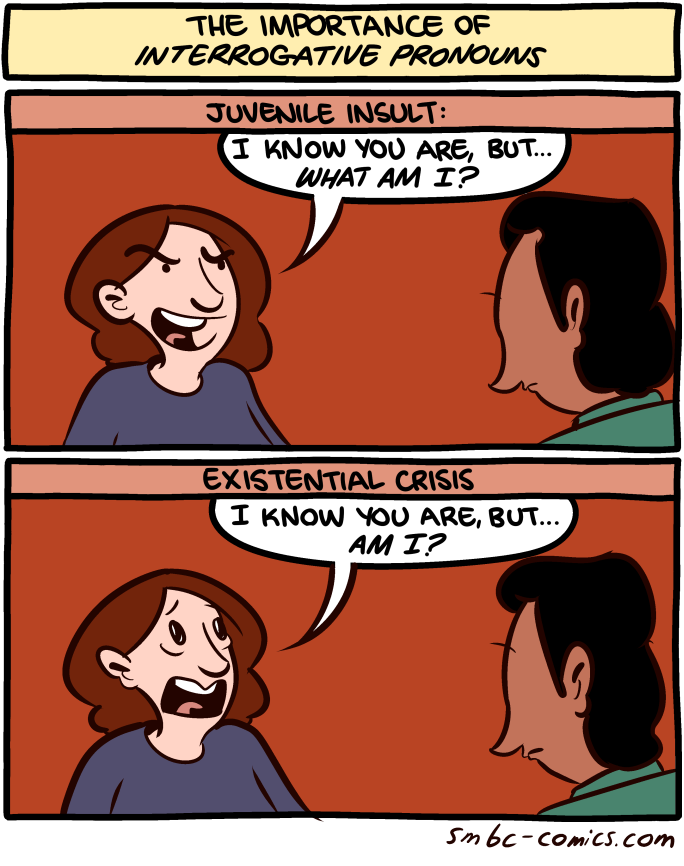 Saturday Morning Breakfast Cereal