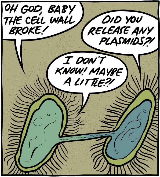 Saturday Morning Breakfast Cereal