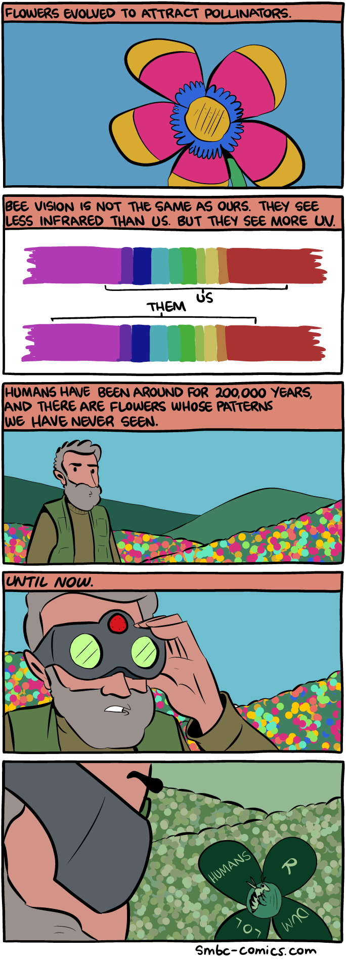 Saturday Morning Breakfast Cereal