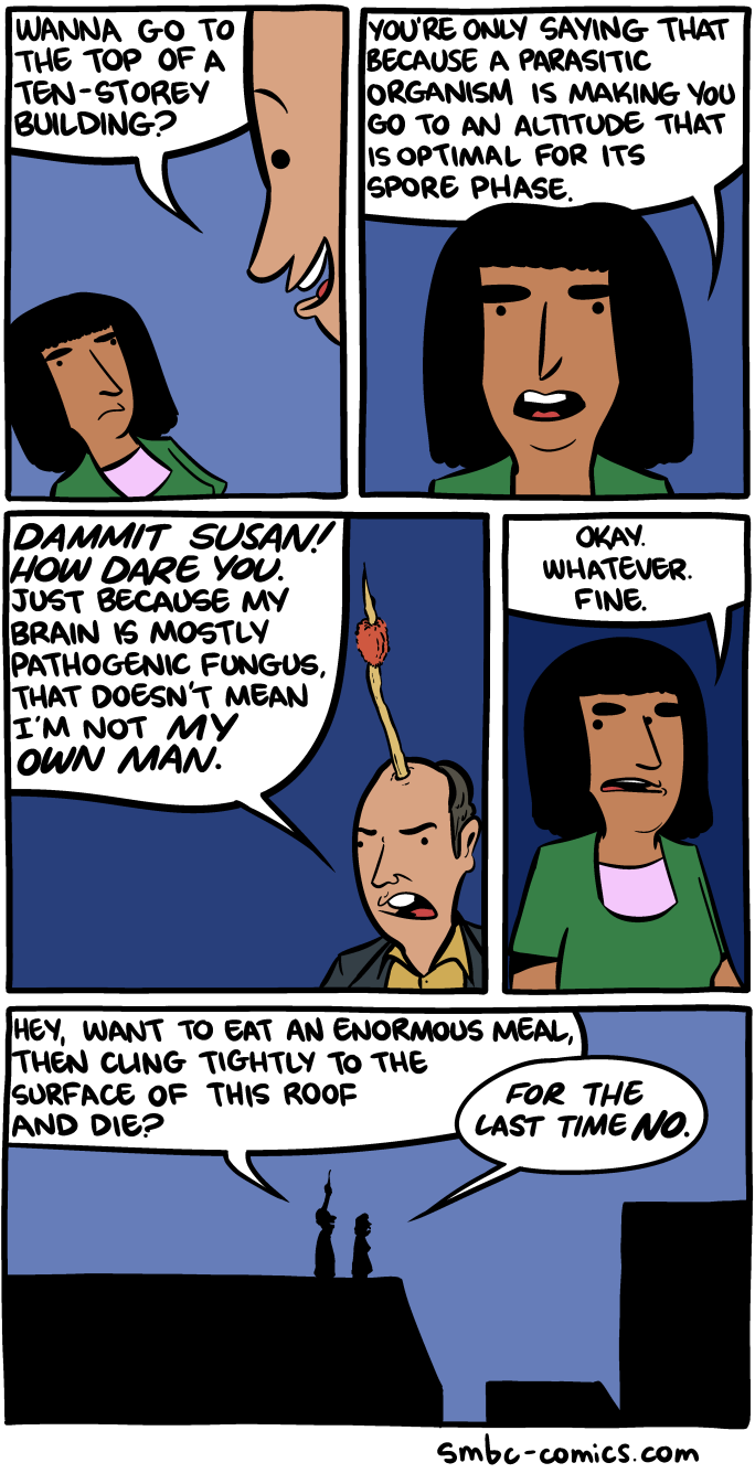 Saturday Morning Breakfast Cereal