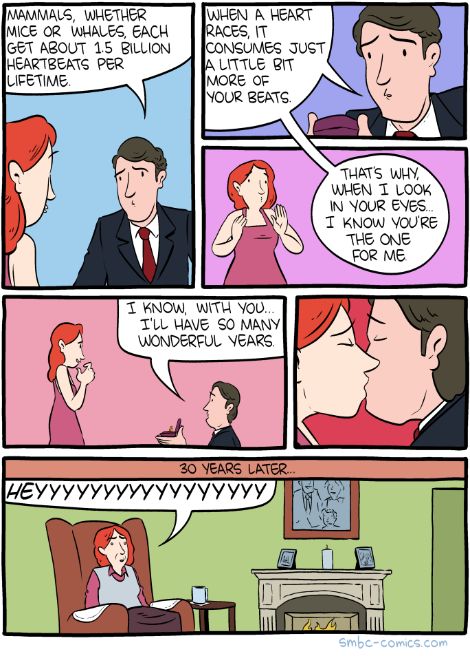 Saturday Morning Breakfast Cereal