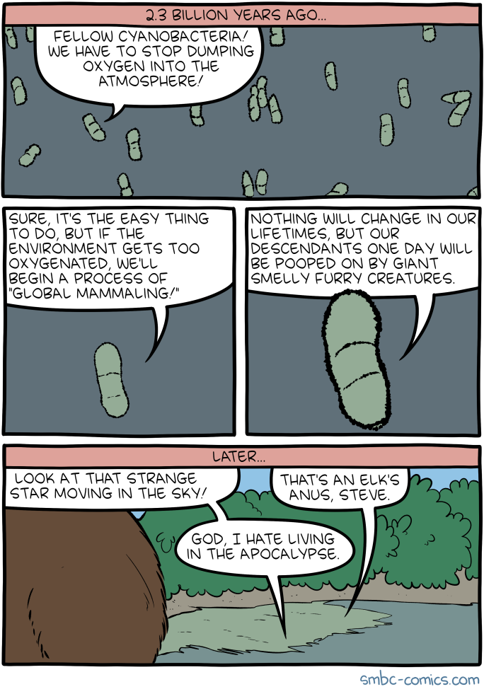 Saturday Morning Breakfast Cereal