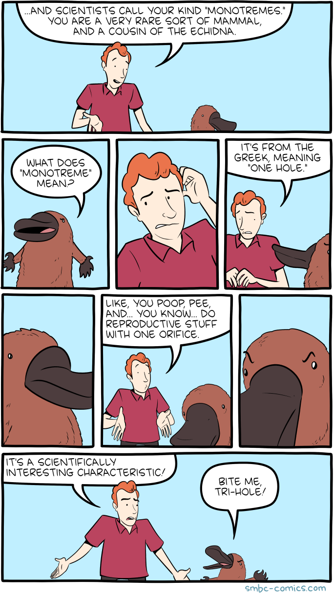 Saturday Morning Breakfast Cereal