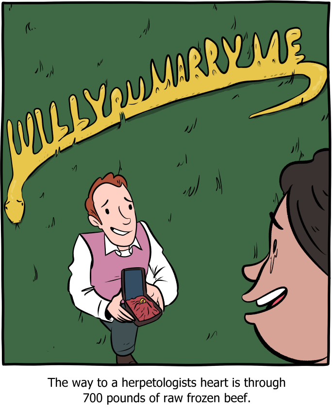 Saturday Morning Breakfast Cereal