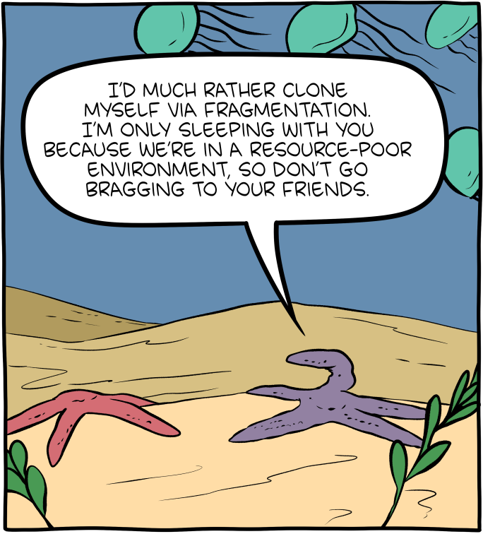 Saturday Morning Breakfast Cereal