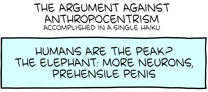 Saturday Morning Breakfast Cereal