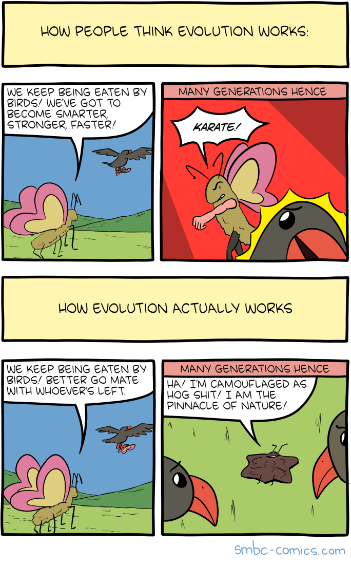 Saturday Morning Breakfast Cereal
