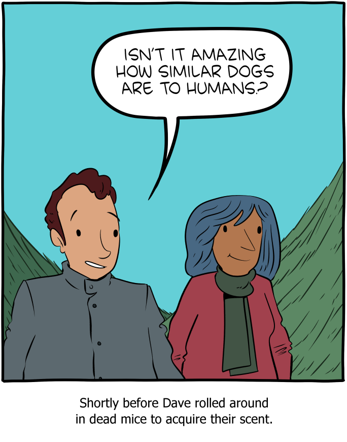 Saturday Morning Breakfast Cereal