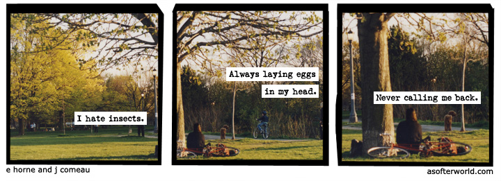 a softer world