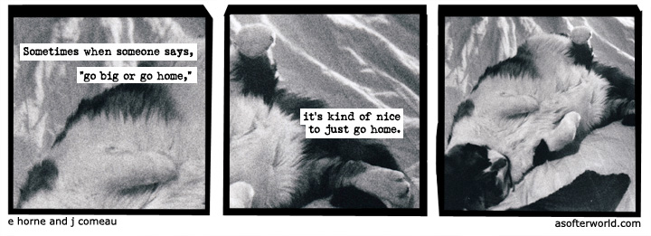 a softer world