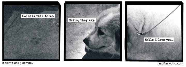a softer world