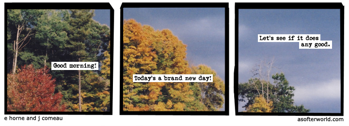 a softer world