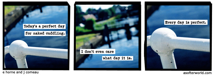 a softer world