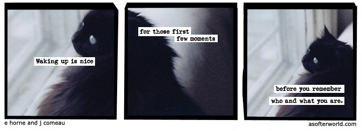 a softer world