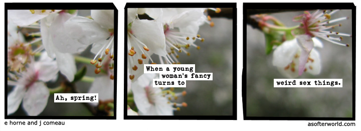 a softer world