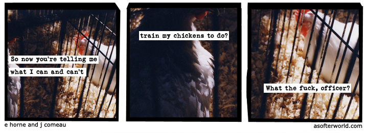 a softer world