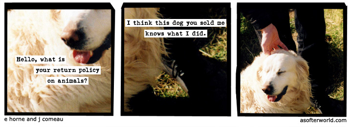 a softer world
