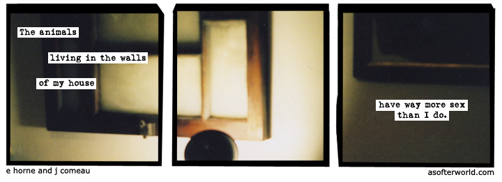 a softer world
