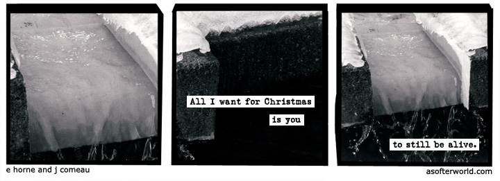 a softer world