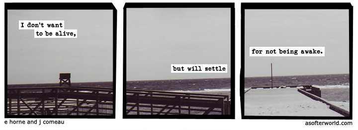 a softer world