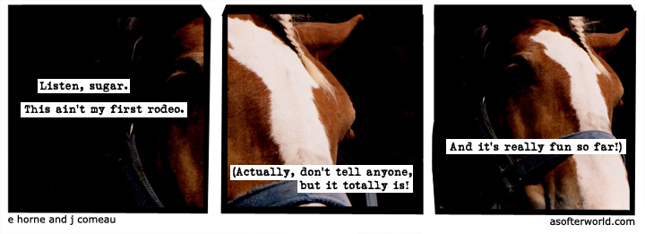 a softer world