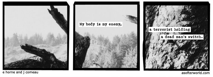 a softer world