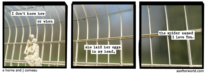 a softer world