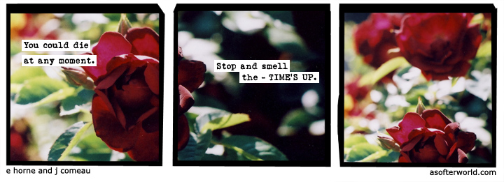a softer world