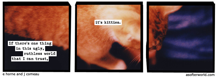 a softer world