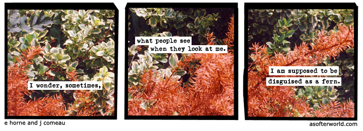 a softer world