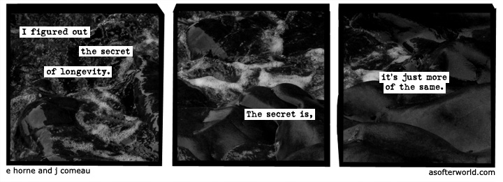 a softer world