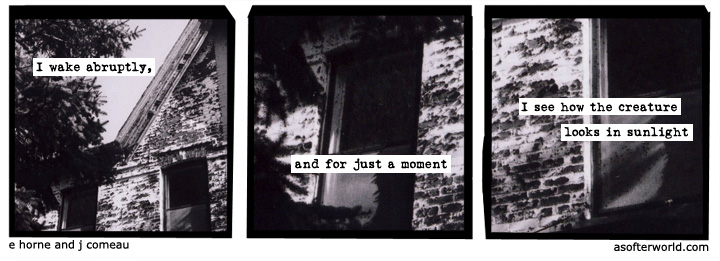 a softer world