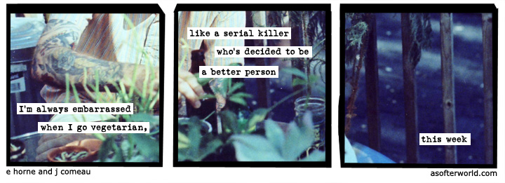 a softer world