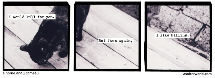 a softer world