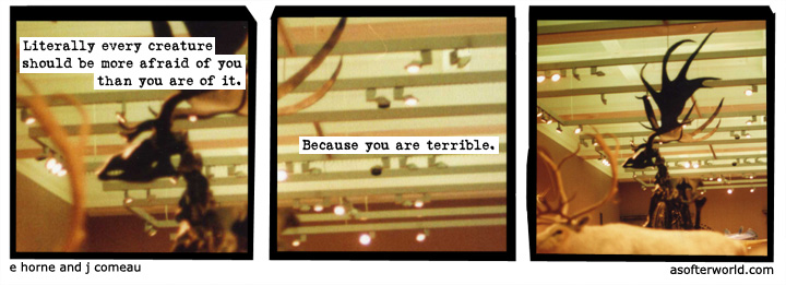 a softer world