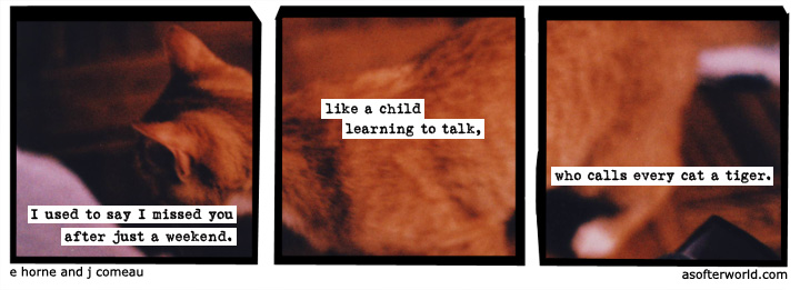 a softer world