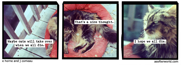 a softer world