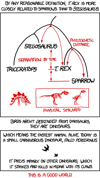 xkcd