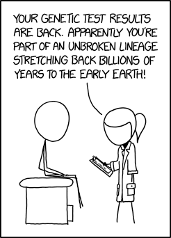 xkcd