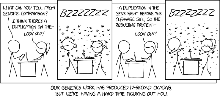xkcd