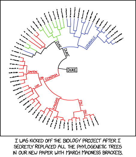 xkcd
