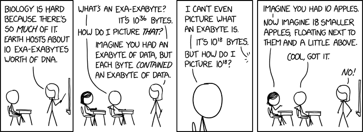 xkcd
