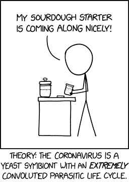 xkcd